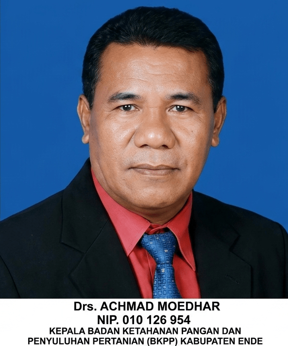Foto Kepala Dinas